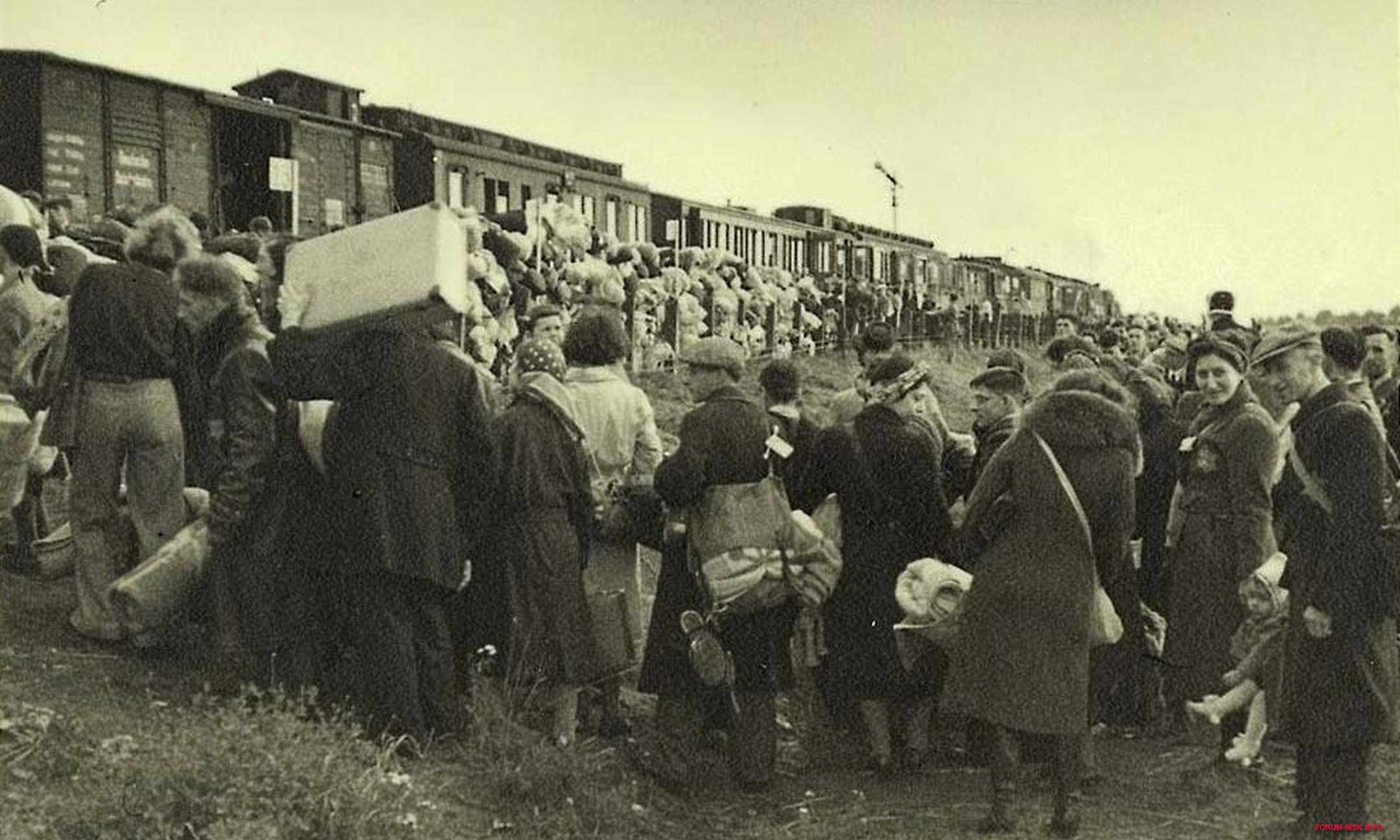 Депортацией называется. Депортация репрессированных народов СССР. Июньская депортация 1941 года. Депортация российских немцев 1941.