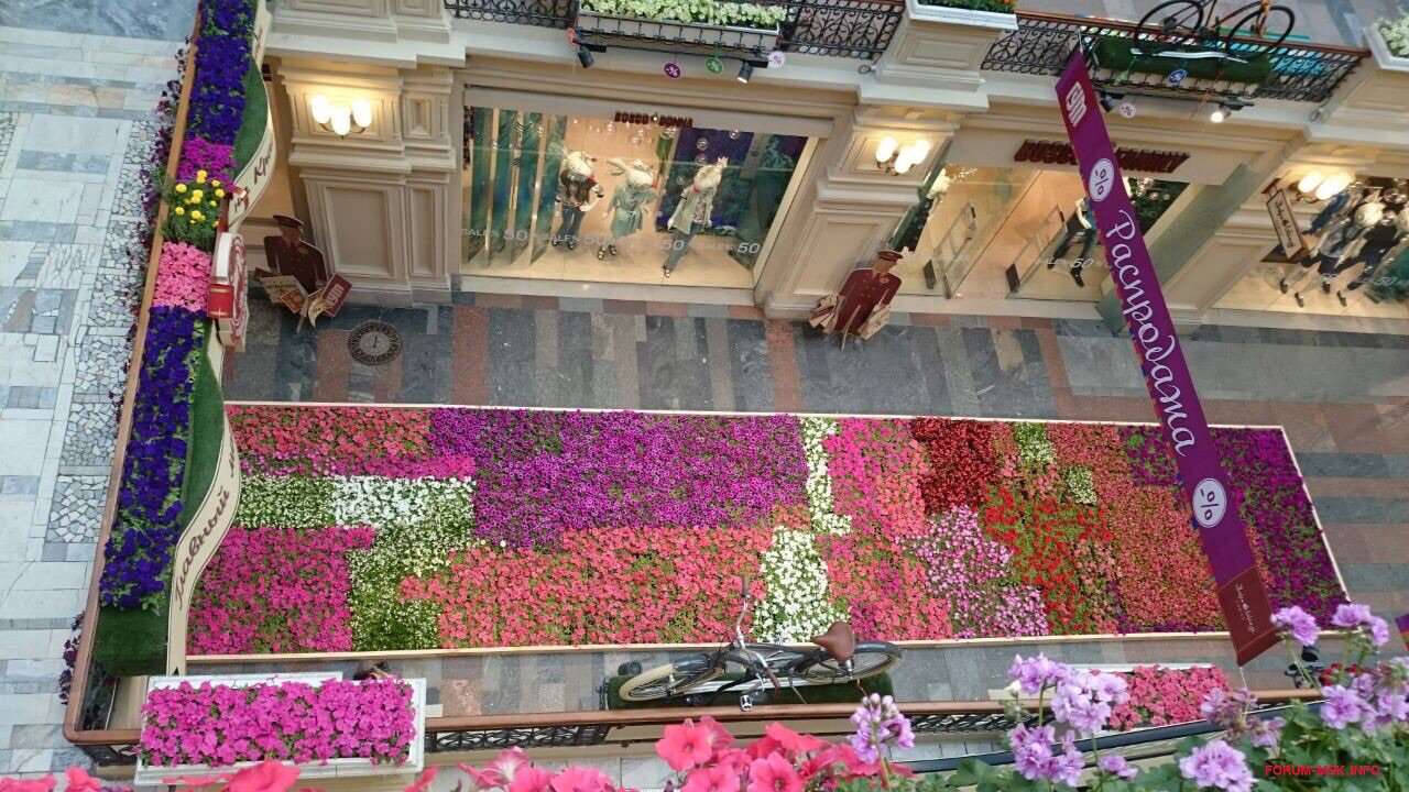 Петровский пассаж выставка цветов