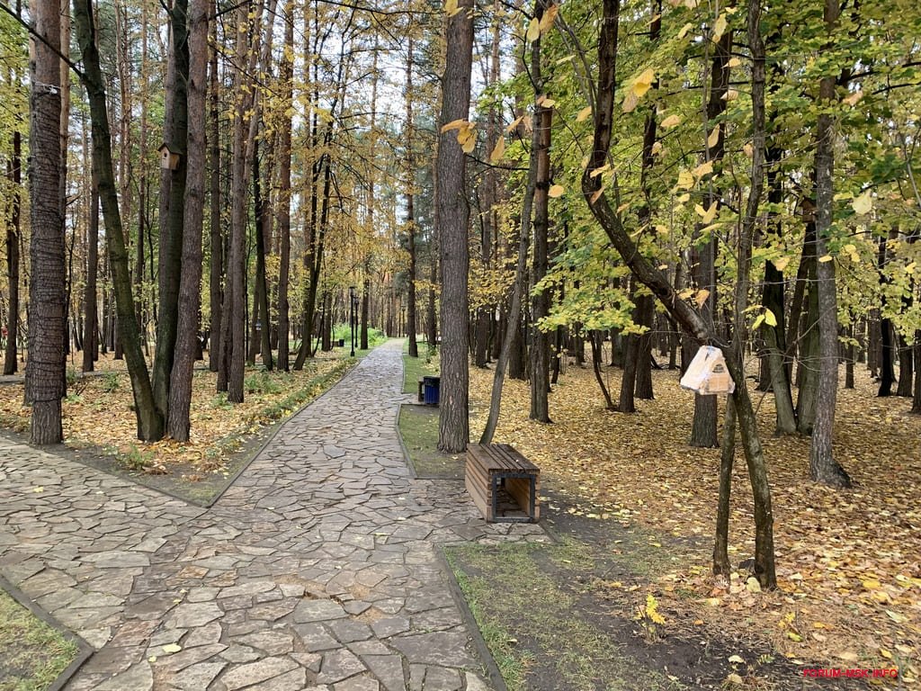 Встречайте парк. Парк Лагутиной Ларисы. Лазутинская озеро Одинцово. Лазутинский парк в Одинцово весной. Одинцово парк культуры и отдыха.