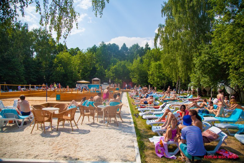 The bassein. The Баssейн в парке Сокольники. Сокольники парк бассейн открытый. The бассейн в Сокольниках. Парк Сокольники Москва бассейн.