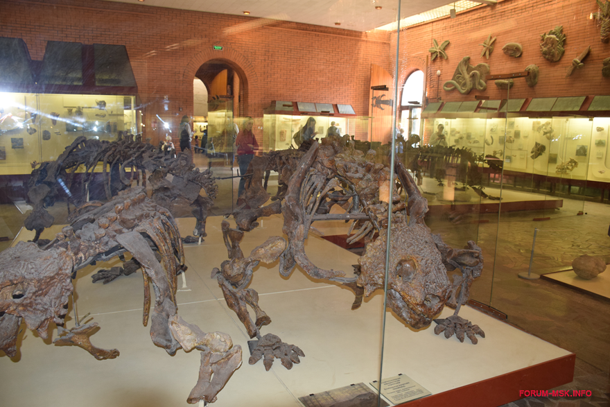 Музей динозавров в москве фото экспонатов