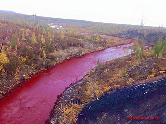 Самые загрязненные реки России, что делается для их охраны