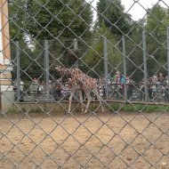 zoopark3.JPG