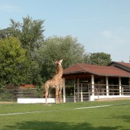 zoopark27.JPG